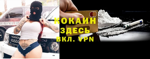 гидра Богородицк