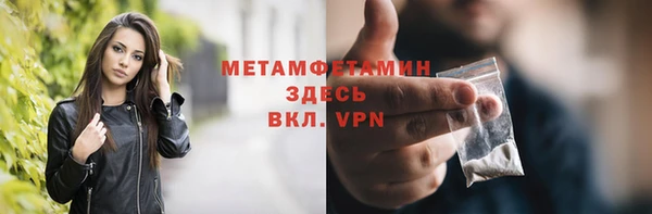 гидра Богородицк