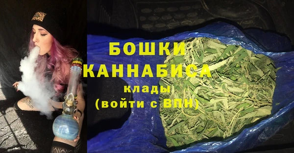 гидра Богородицк