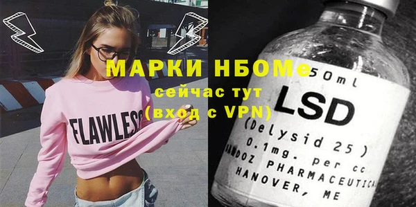 гидра Богородицк