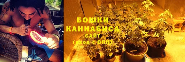 гидра Богородицк