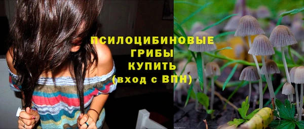 гидра Богородицк