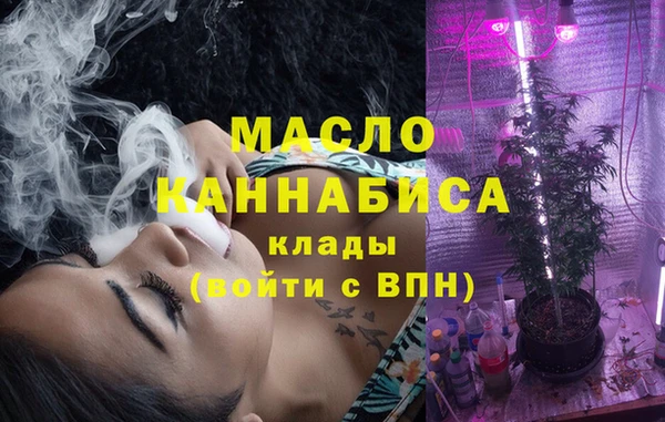 гидра Богородицк