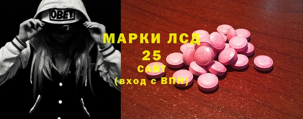 гидра Богородицк