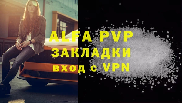 гидра Богородицк