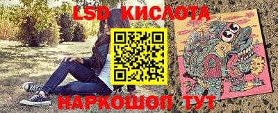 стаф Камышлов