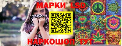 спиды Кингисепп