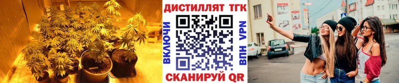 Дистиллят ТГК концентрат  дарнет шоп  Наро-Фоминск 