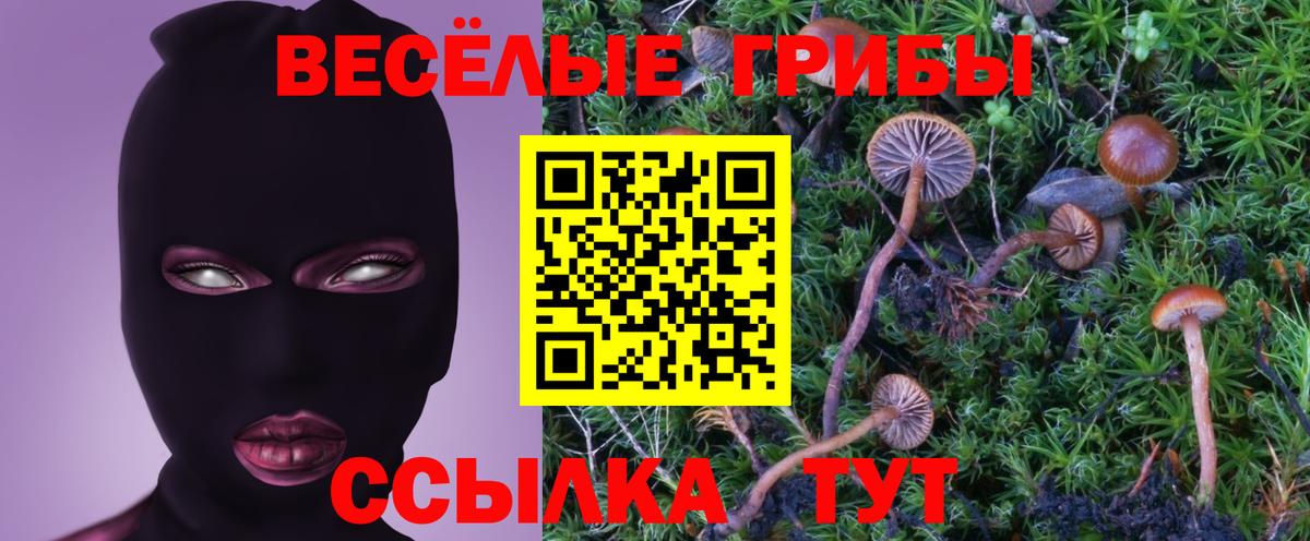 Галлюциногенные грибы Psilocybe  Вход с VPN  Наро-Фоминск 